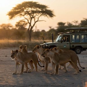 Read more about the article How Many Days Are Enough for a Kenya Safari?