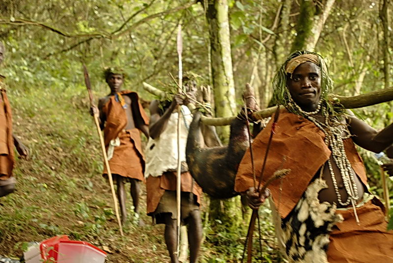 You are currently viewing Batwa Culture and History