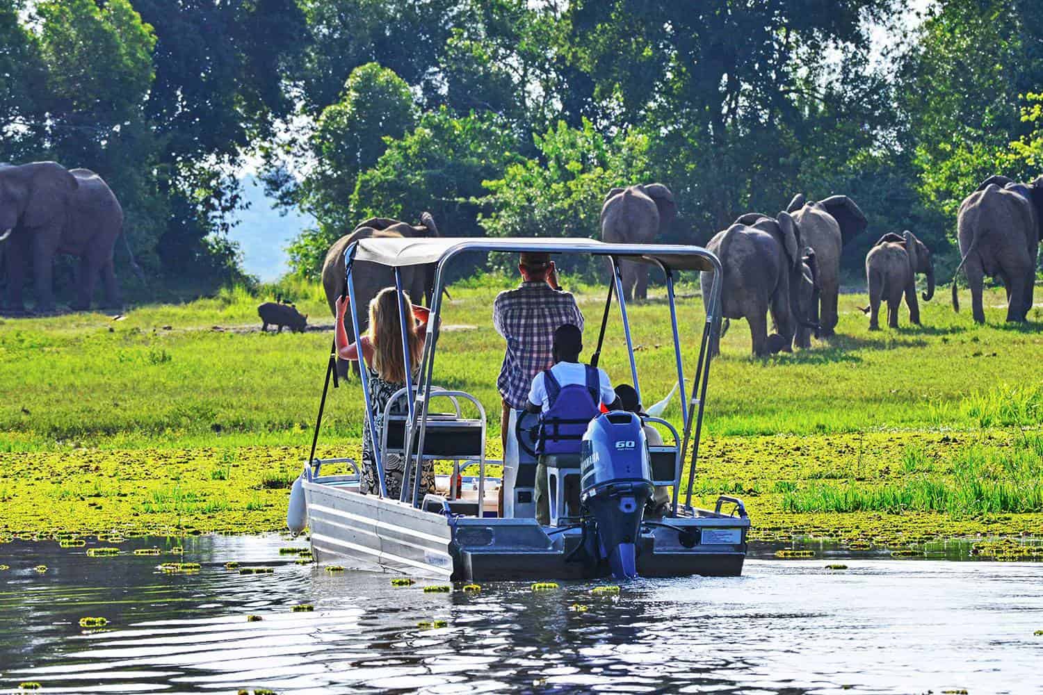 You are currently viewing Uganda is the Best for first-time travelers
