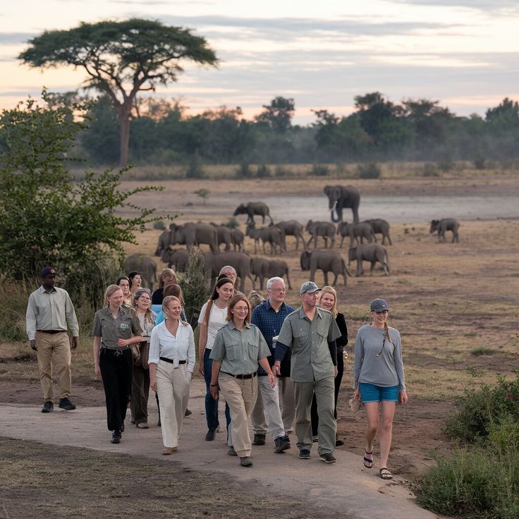 Read more about the article Walking Safaris in Uganda: Experience the Wild on Foot