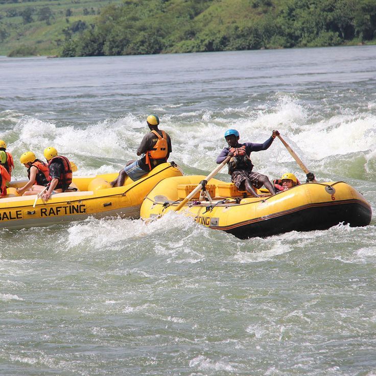 Read more about the article Why Visit Uganda in 2026?