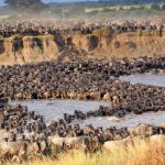 Where to Travel in East Africa