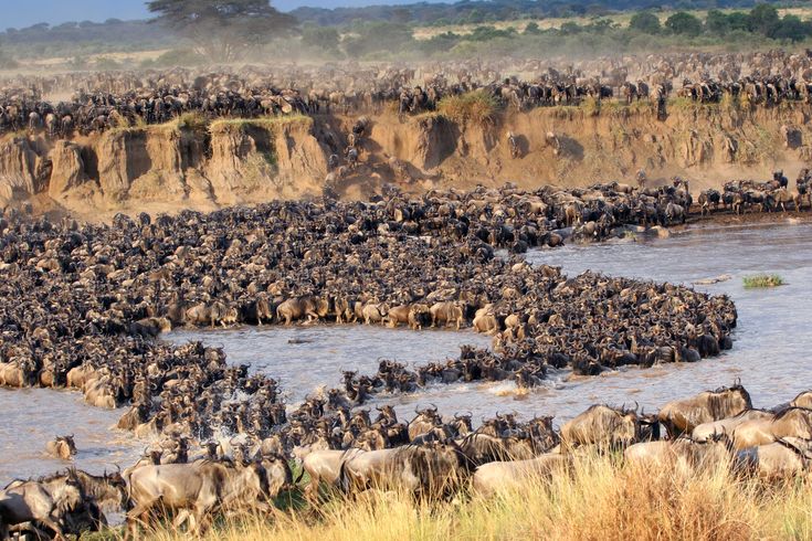 You are currently viewing Where to Travel in East Africa