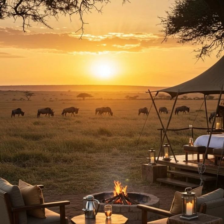 You are currently viewing Camping Safaris in Murchison Falls National Park