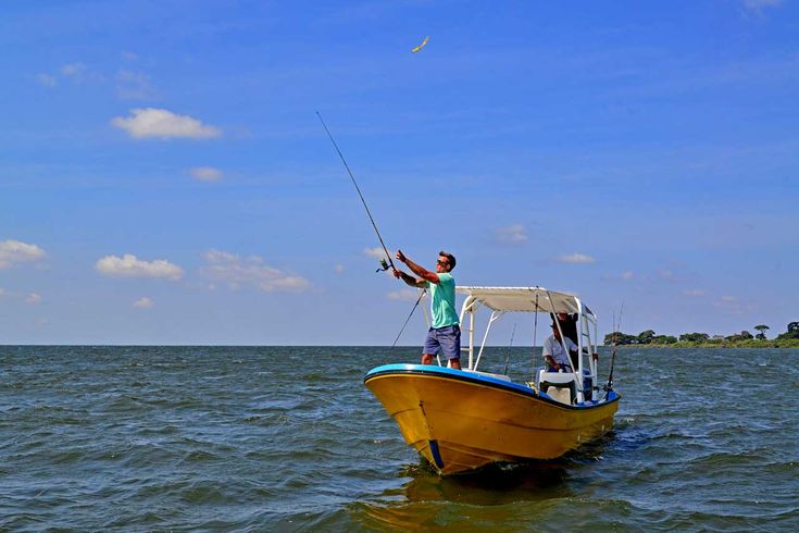 You are currently viewing Sport Fishing in Murchison Falls National Park