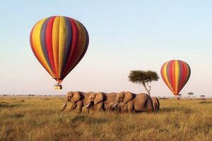 Read more about the article Hot Air Balloon Safaris in Kenya