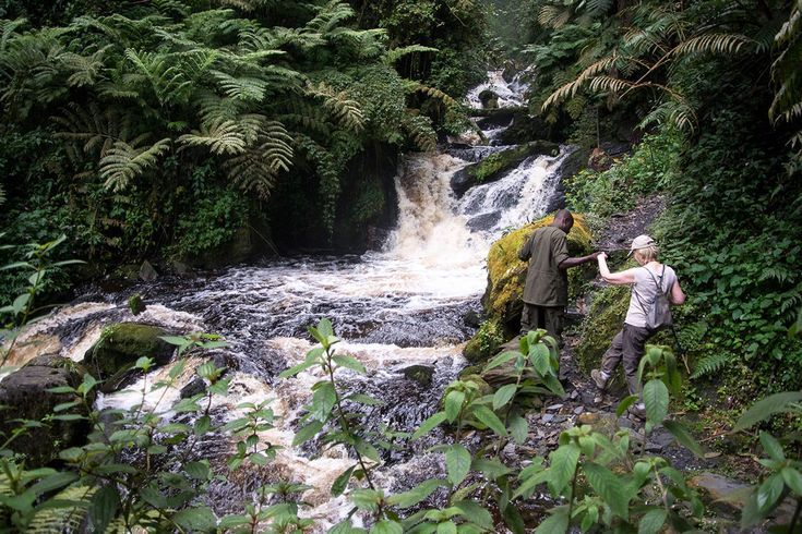 You are currently viewing Best Day Trips in Rwanda