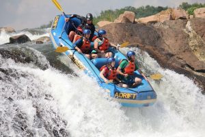 Read more about the article Reasons to Book Your Uganda Trip
