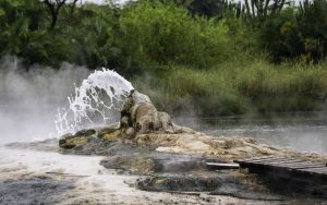 Read more about the article Semuliki National Park Hot Springs