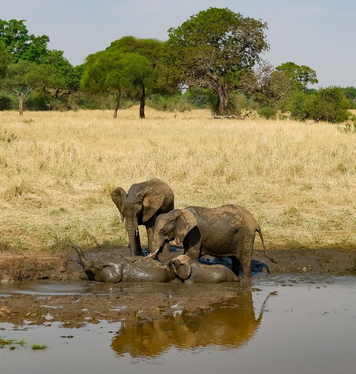 You are currently viewing Why Visit Tanzania