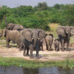 Uganda Domestic Tourism