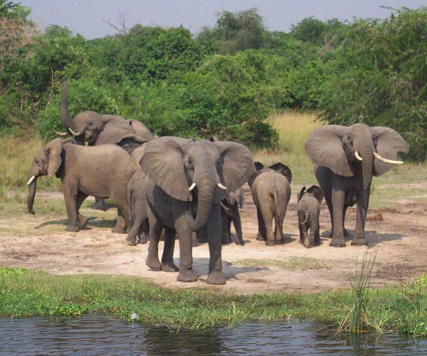 You are currently viewing Uganda Domestic Tourism