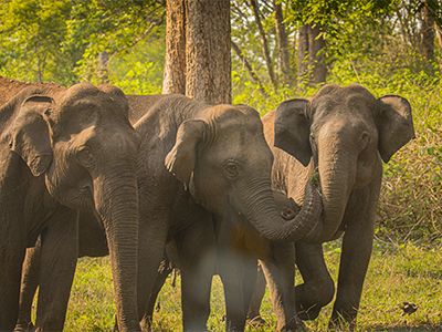 You are currently viewing Katonga Wildlife Reserve