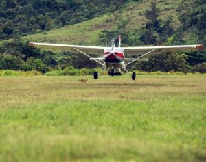 Read more about the article Private Flying Safaris in Rwanda