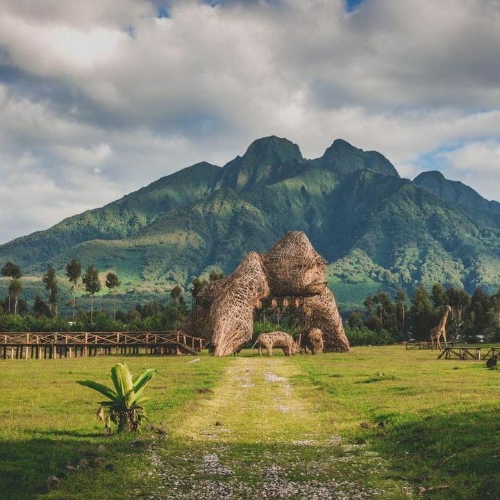 Read more about the article Reasons to Book Your Rwandan Trip