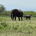 Uganda Best Travel Destinations
