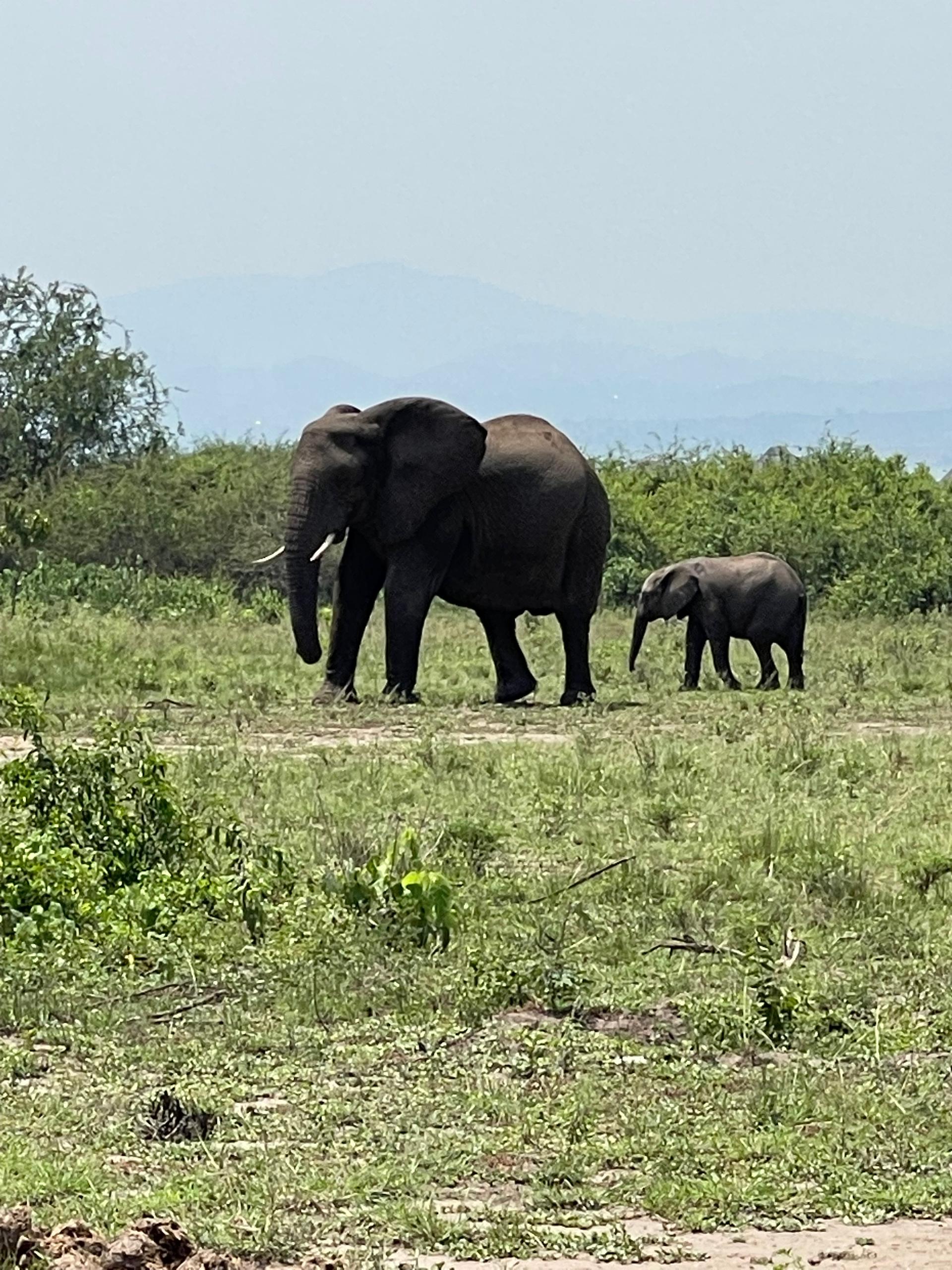 You are currently viewing Uganda Best Travel Destinations
