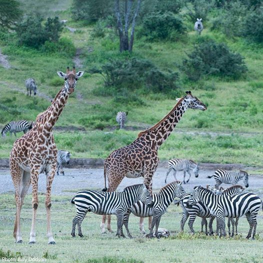 Read more about the article Distance from Kampala to Kidepo Valley National Park