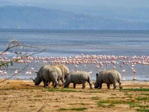 Read more about the article 4 Day Taste of Kenya Luxury Safari
