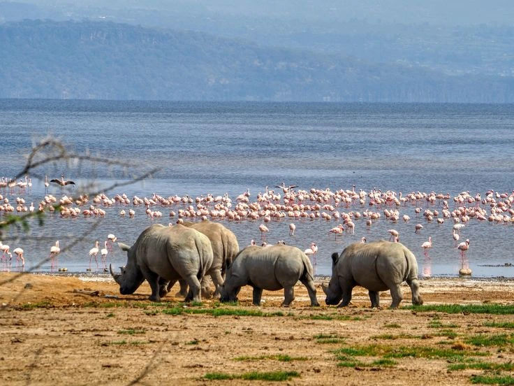 Read more about the article 4 Day Taste of Kenya Luxury Safari