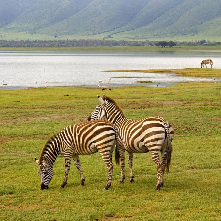 You are currently viewing Popular Rwanda Destinations 2026