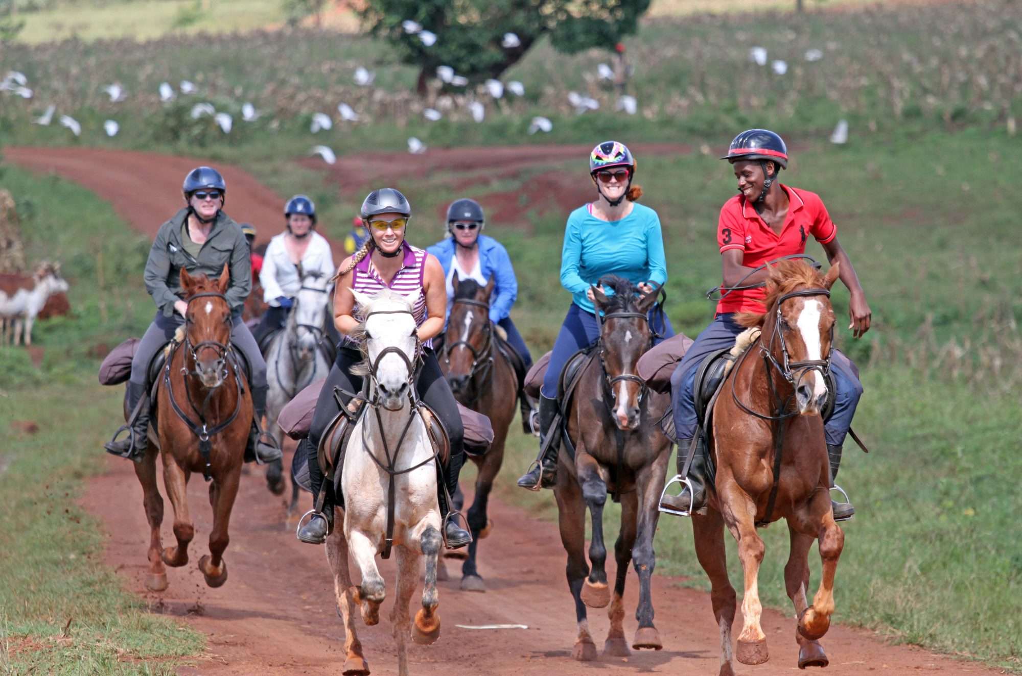 Where to Go for Horse Riding Safari in Uganda(