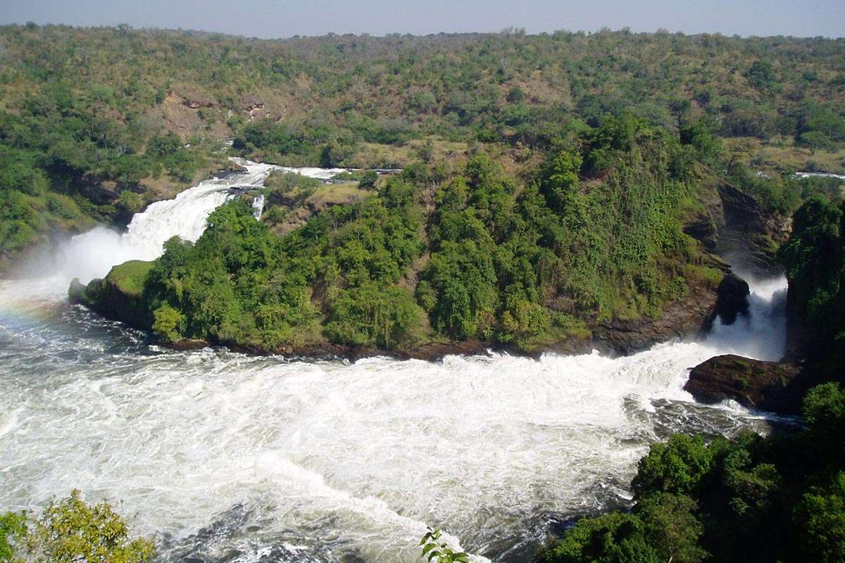 The Best Wildlife Experiences in Murchison Falls National park