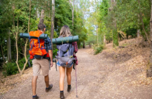 golden monkey experience from Kigali to Uganda