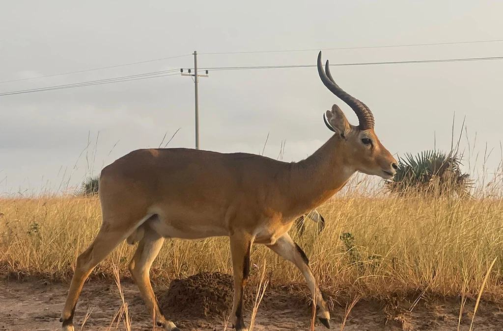 Uganda's Hidden Tourist Attractions