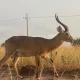 Uganda's Hidden Tourist Attractions