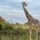 What Is Kidepo Valley National Park Best Known For