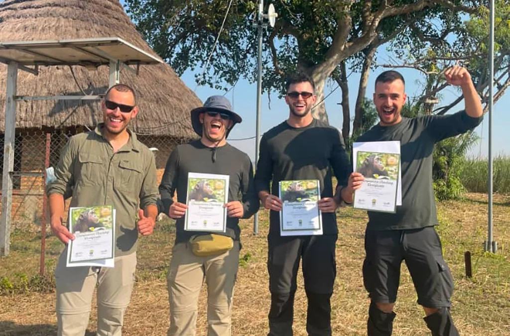 How to Choose the Best Gorilla Trekking Tour Operator in Uganda