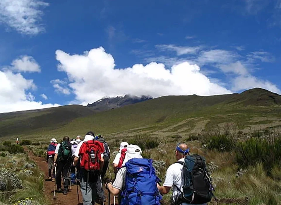 What Are the Best Hiking Safaris for 2027? 