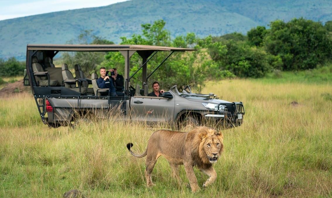 How to Book a Safari in Akagera National Park (2027 Complete Guide)