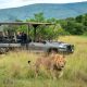 How to Book a Safari in Akagera National Park (2027 Complete Guide)